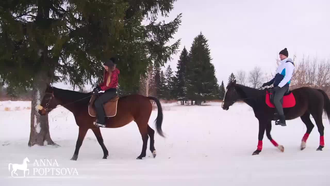 Конная прогулка на лошадях для двоих. Верховая езда в Новосибирске